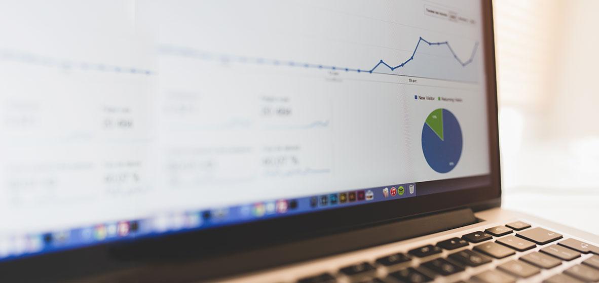 SEO Services for Businesses in New Zealand